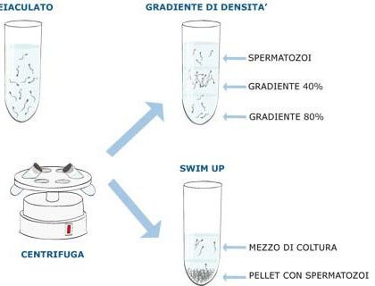 Test-di-separazione-nemaspermica-600x320