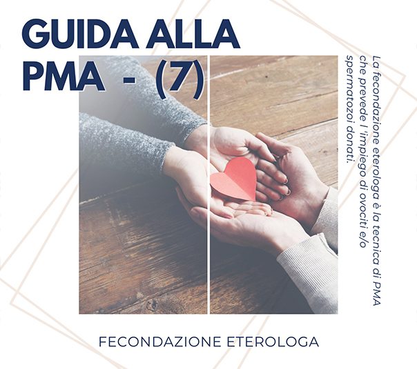 Fecondazione eterologa – Guida alla PMA (7)